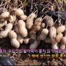 꿈꾸는웰빙 이미지