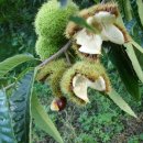 삼신농장 이미지