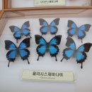먹거리마당 티스토리
