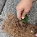 뱃골어린이공원 이미지