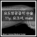 조치원메디컬센터 이미지