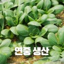 지해농장 이미지