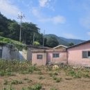 남해 36.5 이미지