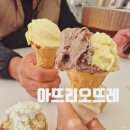 대구 젤라또맛집/서구 아뜨리오 뜨레