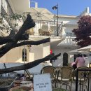 수원-0357 이미지