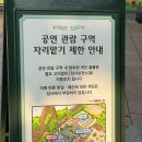 불꽃식당 | 에버랜드 7월 뚜벅이 후기, 식당추천, 불꽃놀이 물총퍼레이드쇼