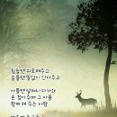 파님