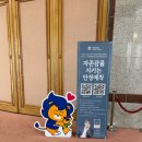 [이번주 생활] 자기계발일지 #강연후기 #kb라이프 #경기포럼 #경기도청 #한양대