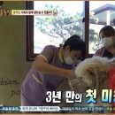 착한강아지 이미지