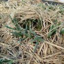 터골농원 이미지