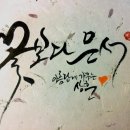 한글자화인 이미지