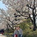 하나운수(주) | 4월 첫째주 일상(26.03.30~)