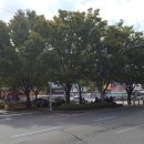 오봉오거리 교통섬 이미지