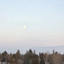 달이 떴다고 전화를 주시다니요 | 달이 떴다고 전화를 주시다니요