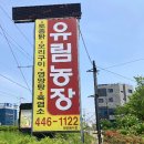 유림환경(주) | 인천 초복, 중복, 말복 맛집 유림농장 옻오리 후기