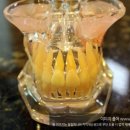 임플라인치과의원 이미지