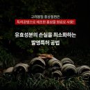 고려봉밀 이미지