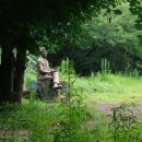 이중섭거리 이미지