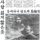 거북이 이미지