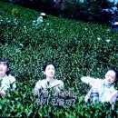 치유의 시와 음악인문학 이미지