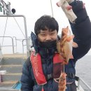 포항시남구장기면양포보건진료소 이미지