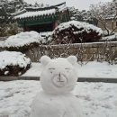 3301 | [강릉] 눈 내리는 날의 오죽헌