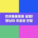 행복한 멍냥이 | 반려동물용품 꿀템! 댕냥이 웃음꽃 만발