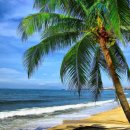 해안도시 이미지