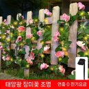 다다 태양광 이미지