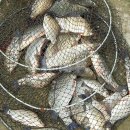 만경파출소 이미지