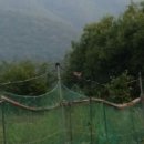 울타리농장 Daum카페