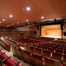 나루아트센터 대공연장 이미지