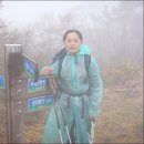 문흥사 Daum카페