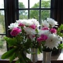 분당구청 앞 문화의 거리 이미지