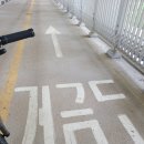 진천대교 밑 자전거도로 | 여름에 떠난 고흥 혼자 여행 거금대교 액티비티 자전거 무료 대여 후기