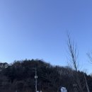 393 | 양주 데이트 코스 카페 추천 카페393 양주 후기