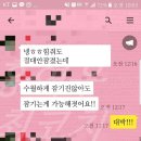 홍여우 - 광주시 | 홍여우