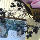 체인지펫미용 | 건대 미용실 탐방기, 스타시티 근처 아늑한 헤어숍 후기