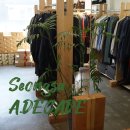 틱톡 | 성수편집샵 어데케이드 틱톡 남자 워커 구매후기