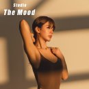 양덕동210 이미지