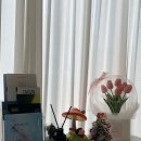 정에스테틱(동탄점)