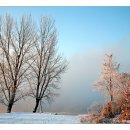 강가에아침 이미지