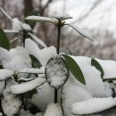 우장산근린공원 이미지