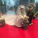 제주테디베어뮤지엄 이미지