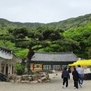 제924차 사천 와룡산 산행 @ 청룡사 겹벚꽃 길 트레킹 이미지