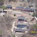 청량산의 봄 이미지