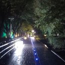 대로(보)2-1-6 이미지