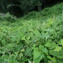 서초중앙로 142 이미지