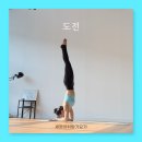 세영아쉬탕가요가 이미지