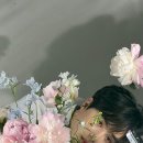 짱짱이네 이미지
